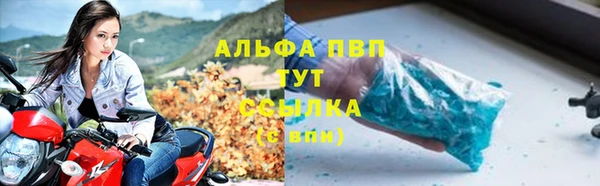 шишки Бородино