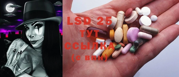 PSILOCYBIN Горно-Алтайск
